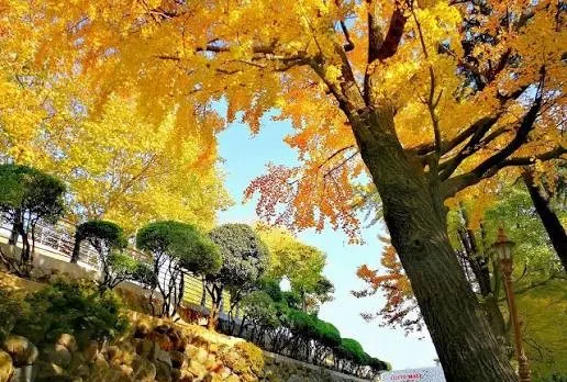 龍頭山公園