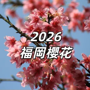 【2026福岡櫻花】福岡預測櫻花3月下旬開放,15大福岡賞櫻花景點盤點!