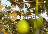 【2025全台採果體驗】水果產季每月限定採果一日遊!從水蜜桃產季到水蜜桃產季,全年台灣水果不間斷