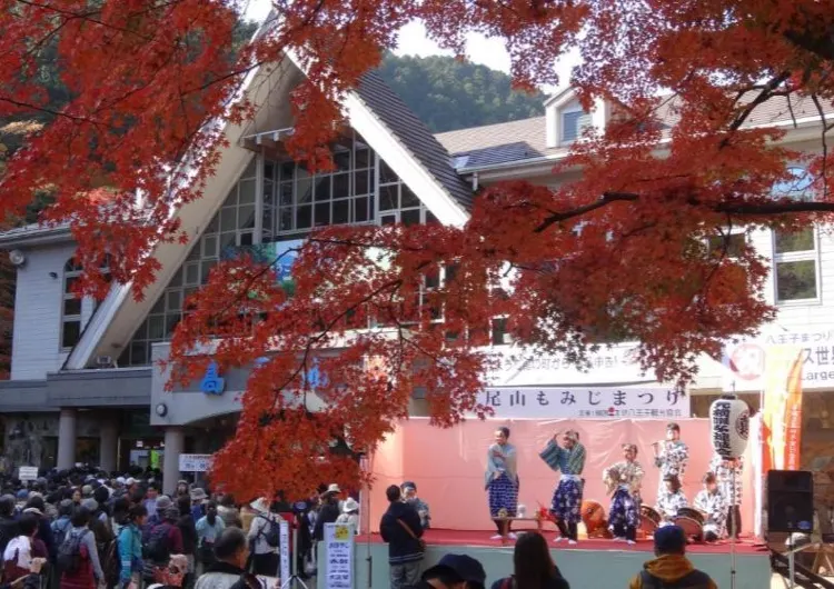 【紅葉祭り2026】日本全国おすすめ のもみじまつり15 選|高尾山・嵐山・養老渓谷・見頃情報