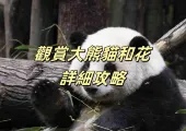 【大熊貓和花】2024成都大熊貓基地看花花！詳細攻略+路線