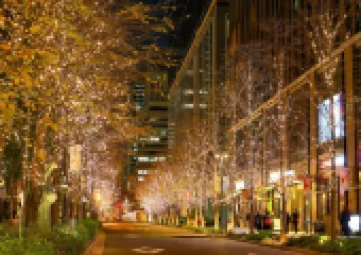 【日本丸の内】 2025クリスマスイルミネーション完全ガイド!日程・会場・見どころ・アクセスまとめ