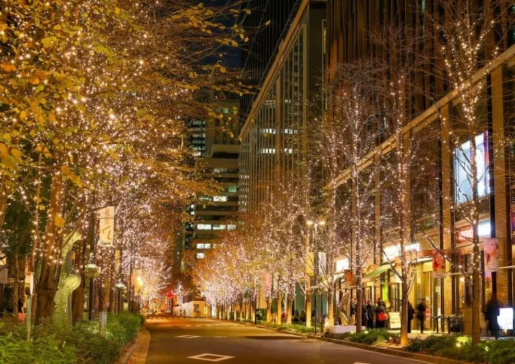 【日本丸の内】 2025クリスマスイルミネーション完全ガイド！日程・会場・見どころ・アクセスまとめ