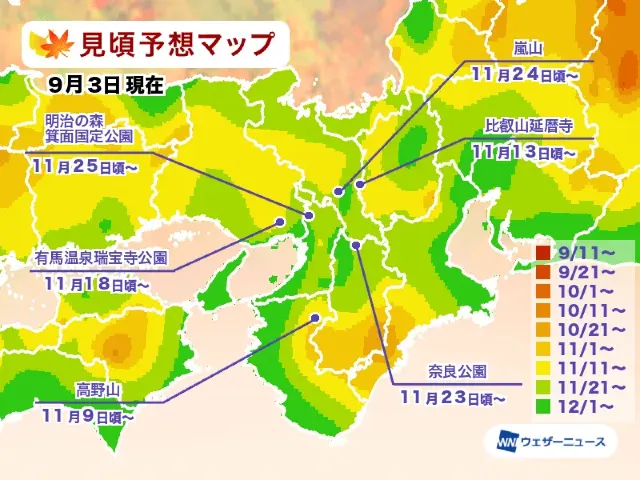 京都楓葉季時間