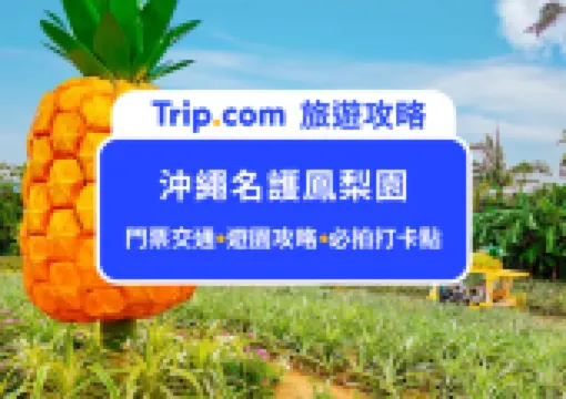 親子夢幻打卡點!2026沖繩名護鳳梨園全攻略|門票交通、遊園路線、拍照打卡點一次看,帶你坐鳳梨無人車、觀賞逼真恐龍,親子必去景點!