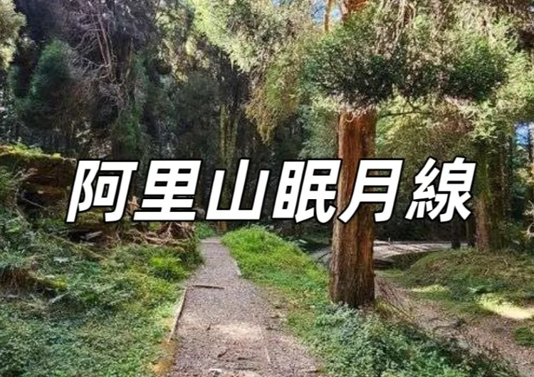 【阿里山眠月線】山林仙境，阿里山眠月線一日遊、登山路線、交通資訊懶人包