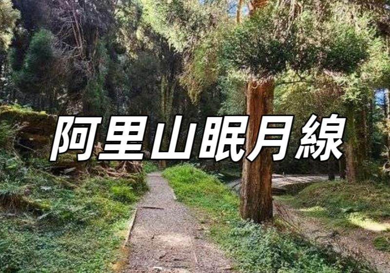 【阿里山眠月線2026】山林仙境，阿里山眠月線一日遊、登山路線、交通資訊懶人包