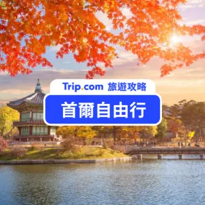 2026 首爾自由行看這篇就對了!首爾景點/交通費用/美食伴手禮一次看
