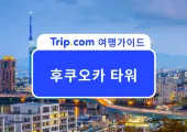 2026 후쿠오카 노을 명소 찾는다면? 후쿠오카 타워 입장료부터 야경, 모모치 해변까지 완벽 가이드