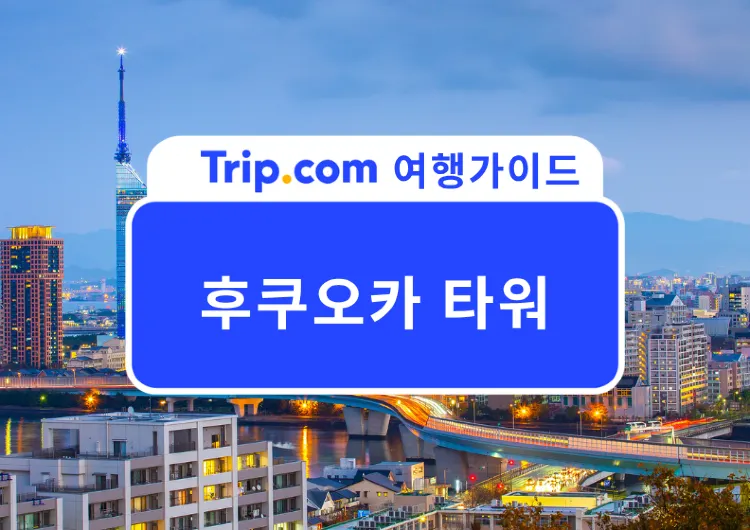 2026 후쿠오카 노을 명소 찾는다면? 후쿠오카 타워 입장료부터 야경, 모모치 해변까지 완벽 가이드