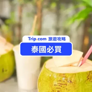 【2026 泰國必買】Top50 泰國必買零食、藥妝、伴手禮、品牌，泰好買！