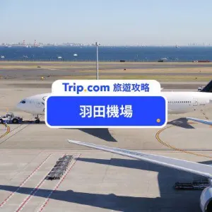 【2026 羽田機場到東京】前往東京怎樣最方便？東京必去景點和飯店推薦