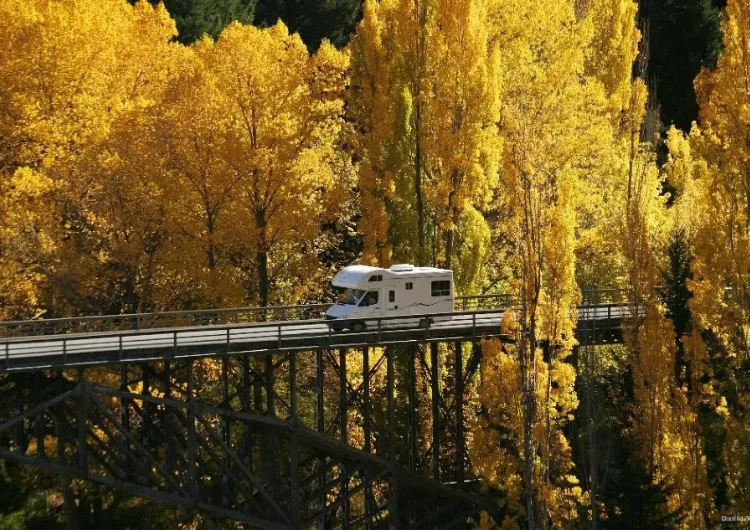 ใบไม้สีทองกับแดนกีวีที่ใฝ่ฝัน: สัมผัสฤดูใบไม้ร่วงในนิวซีแลนด์