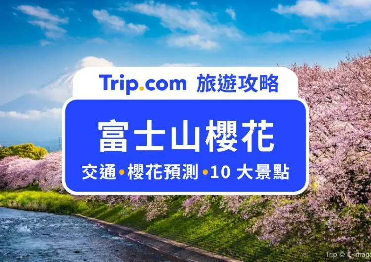 2025 富士山櫻花 10 大必看景點！富士芝櫻祭＋櫻花季預測