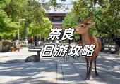  【奈良一日遊】奈良景點遊玩&祭典活動全攻略！餵小鹿、訪古寺，交通、行程、購物、美食、住宿推介！