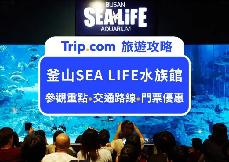 近距離看鯊魚餵食秀！2024釜山SEA LIFE水族館參觀攻略：必看表演、門票價格、交通路線，重點看這篇就夠了！