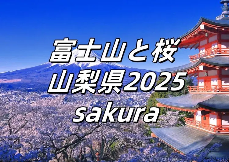 桜☆2025年厳選☆今、見るべき絶景の富士山と桜🌸いま、山梨県へ行こう☆