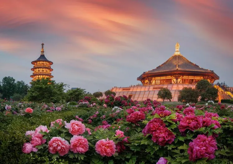 [Luoyang Free Travel] How to enjoy Luoyang travel in 3 days and 2 nights, a comprehensive itinerary planning package!