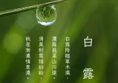 【白露2026】白露將在9月7日到來!6大禁忌、5大習俗、5種進補湯水一次看!養生飲食、轉運招財方法、天氣穿衣全攻略!