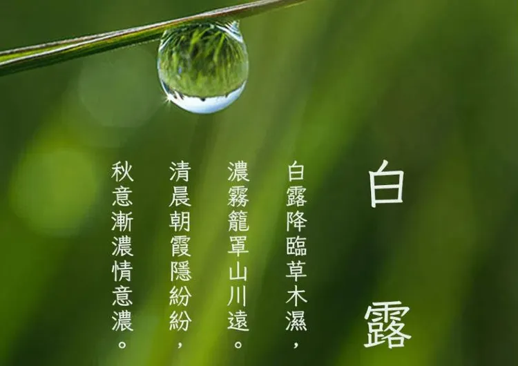 【白露2026】白露將在9月7日到來!6大禁忌、5大習俗、5種進補湯水一次看!養生飲食、轉運招財方法、天氣穿衣全攻略!