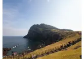 【2025 済州島フリーツアー】済州島の観光スポット、グルメ、宿泊、レンタカー、スケジュール完全ガイド!