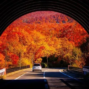 【2026 北海道紅葉】最完整攻略|9-11月景點推薦、10月最新觀賞期預測、交通玩法全推介!
