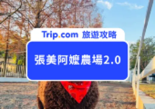 2026張美阿嬤農場2.0新開張|宜蘭軟萌農場升級回歸,交通攻略帶你一次搞定!