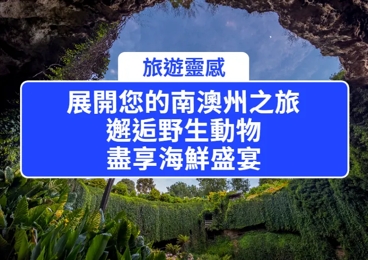 展開您的南澳州之旅：邂逅野生動物，盡享海鮮盛宴