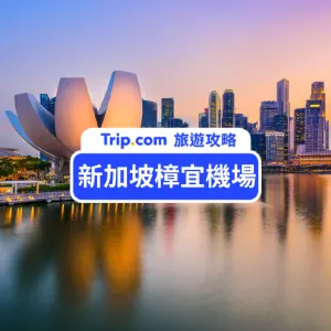 【 2026 新加坡樟宜機場攻略】如何前往市中心?交通卡、市區交通攻略,自由行也能輕鬆玩新加坡熱門景點