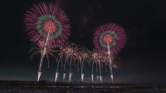 도네가와 대불꽃축제