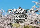 【河津桜まつり2026】開花予想、桜の名所、注意点など、2月の東京近郊のお花見ガイド！
