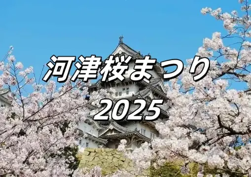 【河津桜まつり2026】開花予想、桜の名所、注意点など、2月の東京近郊のお花見ガイド!