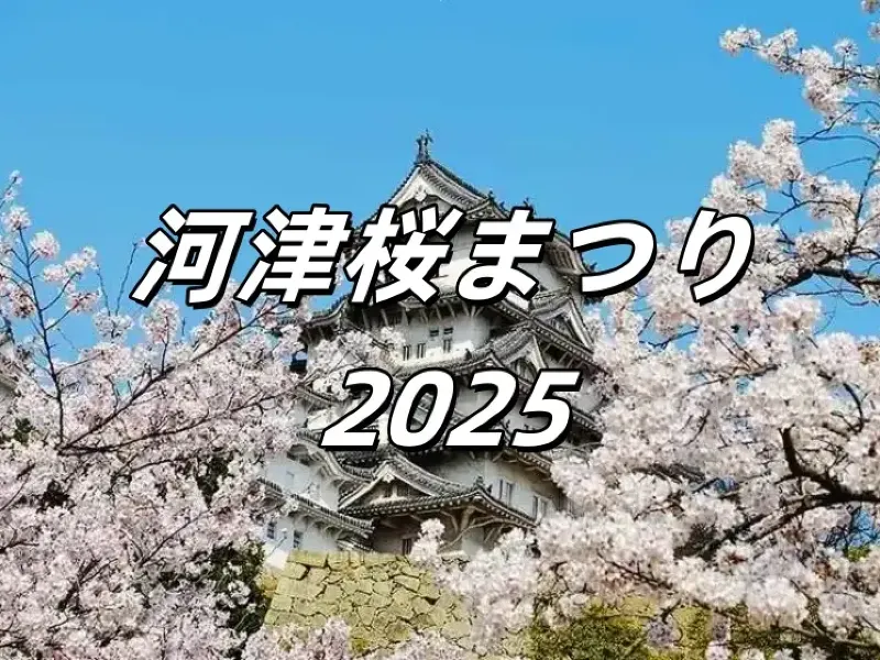 河津桜まつり2025】開花予想、桜の名所、注意点など、2月の東京近郊