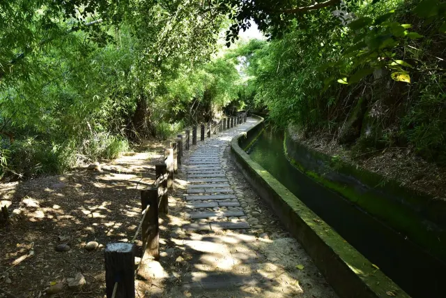 知高圳步道（烏日區、大肚區）