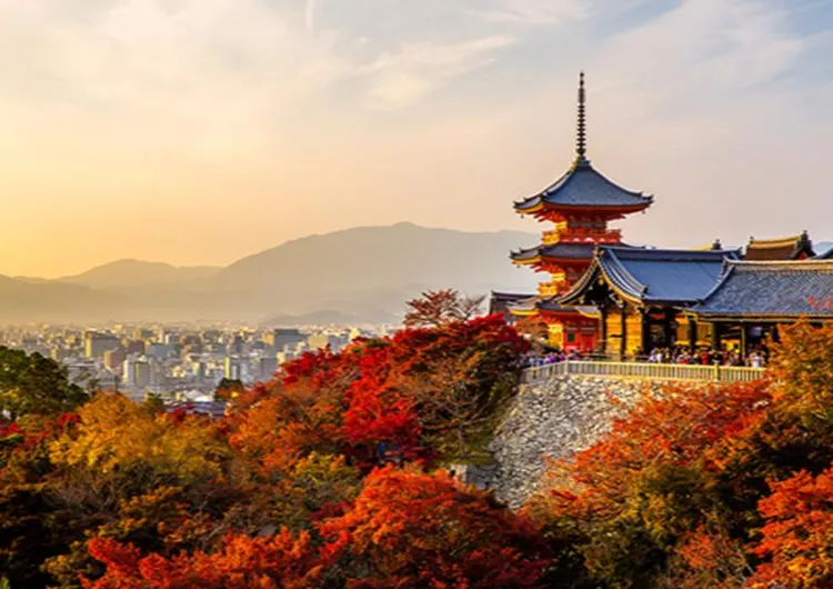 【京都紅葉名所】2025最新京都紅葉完全ガイド!紅葉の見頃・必見名所10選・穴場・夜間拝観ライトアップ情報まとめ