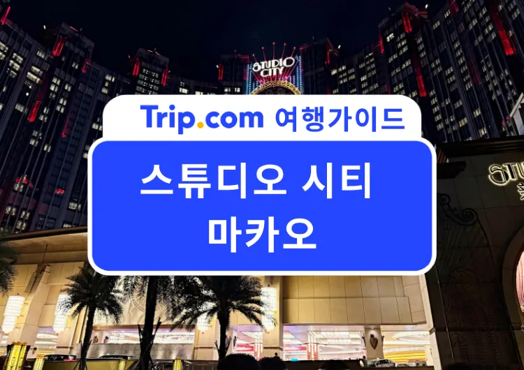 2026마카오 호캉스 추천, 스튜디오 시티 마카오 총정리 | 워터파크, 관람차, 뷔페, 디즈니, 4D체험까지!
