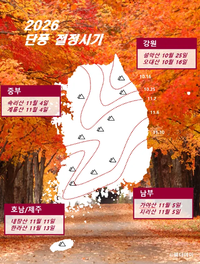 단풍 절정 시기