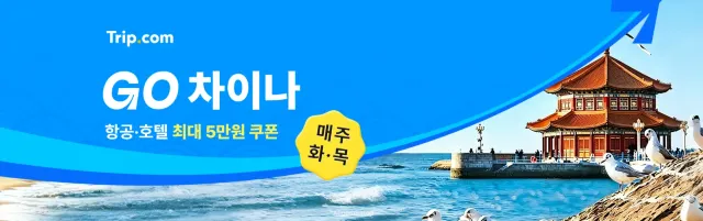 GO 차이나