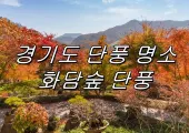 【화담숲 단풍】경기도 가을 단풍명소 화담숲 단풍 예약, 꿀팁 총정리