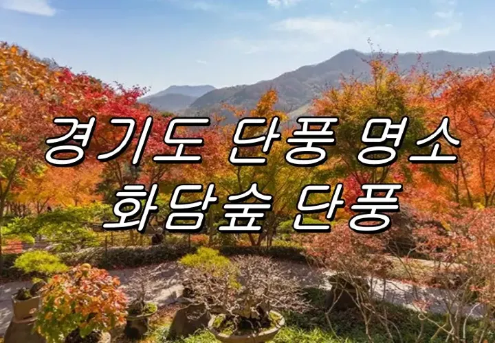 2025 화담숲 단풍 모노레일 예약 및 사진 꿀팁 총정리