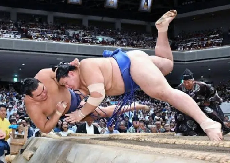 【大相撲2026】9月場所完全ガイド|東京場所の開催日程・チケット購入・座席・観戦ルール・アクセス・周辺グルメ