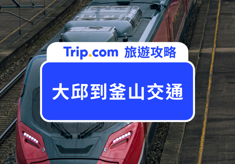 【大邱到釜山交通全攻略】KTX、SRT、火車、巴士交通攻略與時刻表一次看