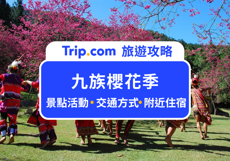 2026 九族櫻花季｜全台最大賞夜櫻盛會 1/31 開跑，即時花況、九族 40 週年活動一次掌握
