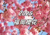 【2025福岡櫻花】福岡預測櫻花3月底開放,15大福岡賞櫻花景點盤點!