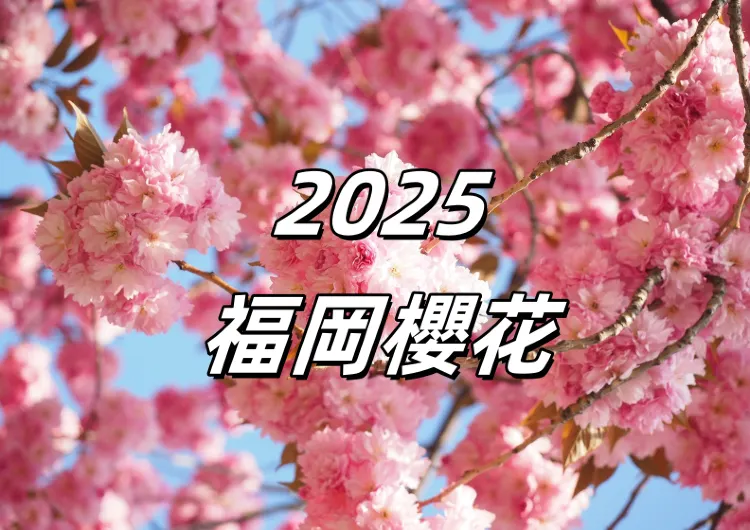 【2025福岡櫻花】福岡預測櫻花3月底開放,15大福岡賞櫻花景點盤點!