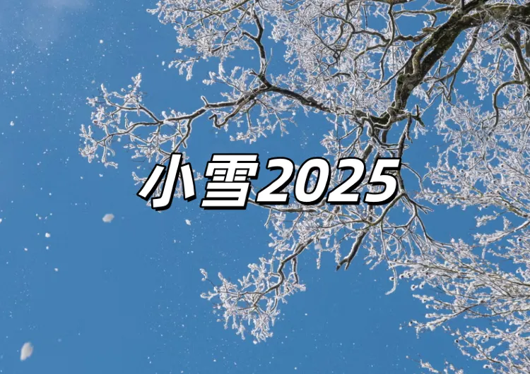 【小雪2025 】小雪養生吃什麽？小雪由來、禁忌習俗、養生食材、開運方法、養生建議、精油推薦懶人包