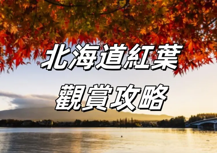 【日本紅葉】北海道紅葉2026觀賞攻略 | 附酒店、美食、交通指南