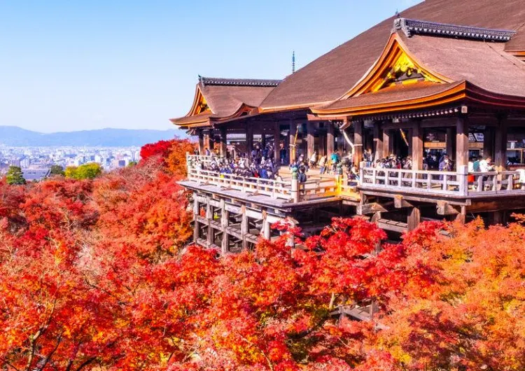 【京都楓葉 2025】日本京都賞楓景點必收！楓葉時間、熱門賞楓地圖、交通住宿懶人包