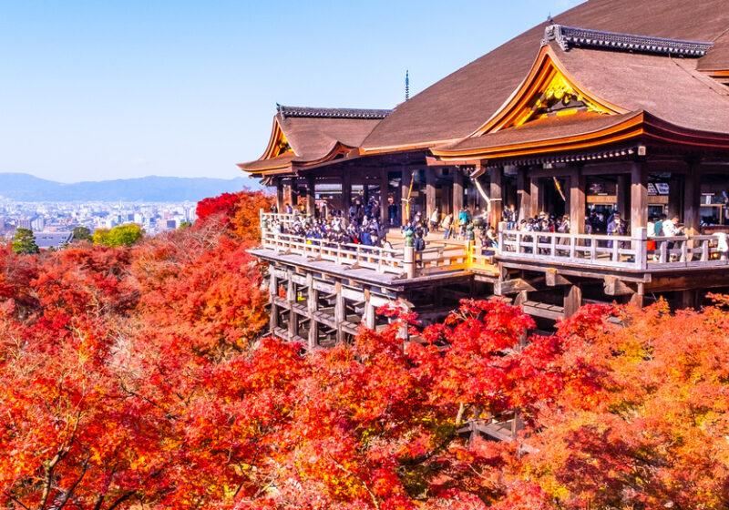 【京都楓葉2026】日本京都賞楓景點必收！楓葉時間預測、夜楓、地圖交通住宿懶人包