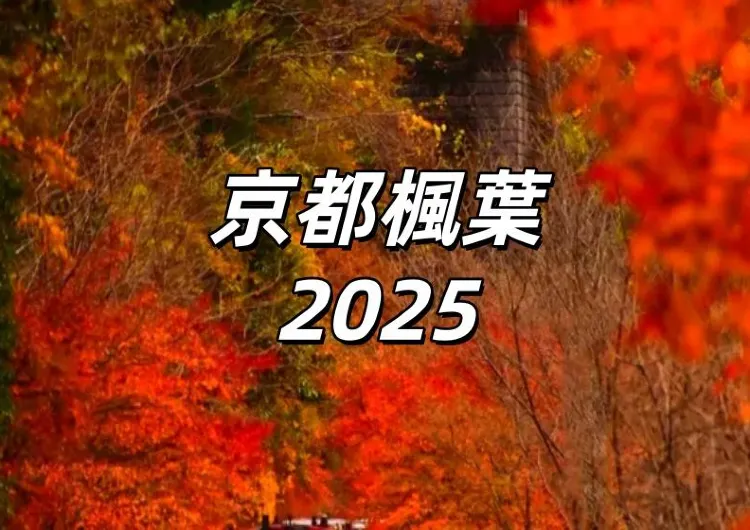【京都楓葉2025 】掌握日本楓葉預測×18大京都必去景點×行程住宿全攻略